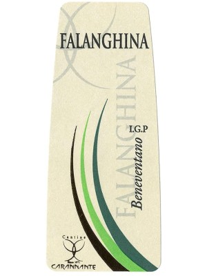 6x Falanghina Beneventano